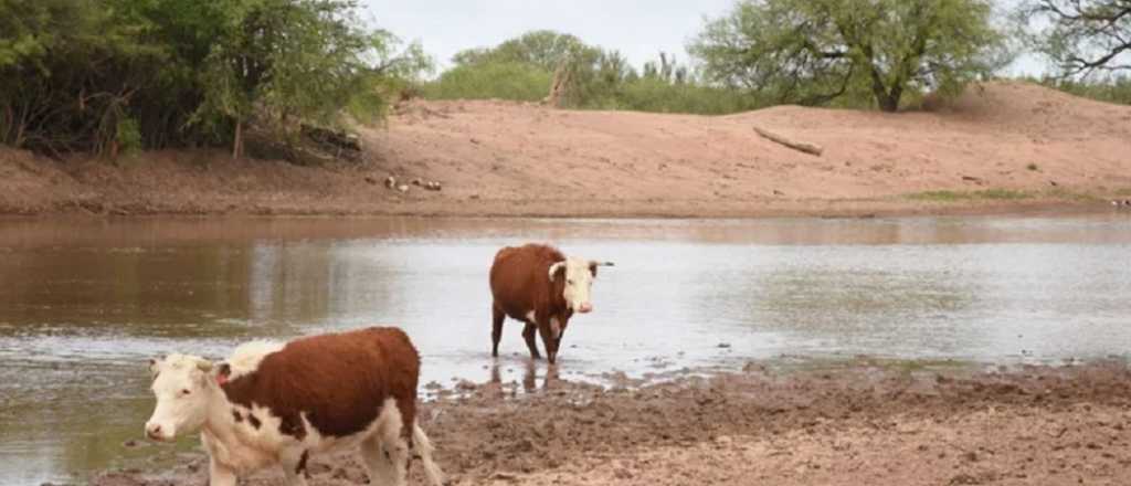 La merma del caudal de los ríos mendocinos agrava la crisis hídrica