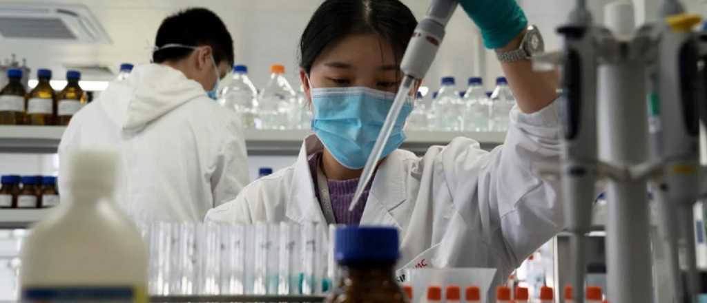 La policía de Brasil catalogó como "suicidio" la muerte del voluntario