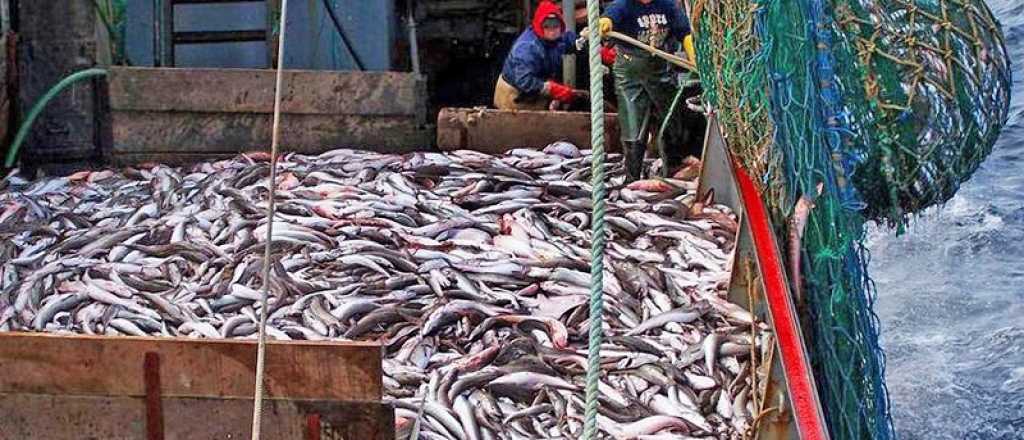 Mientras crece el hambre, en Argentina se tiran toneladas de pescado