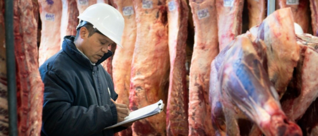 Enojo por el posible cierre de las exportaciones de carne