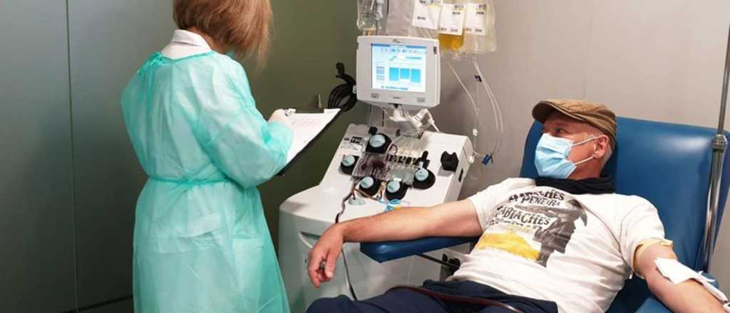 Covid-19: qui&eacute;nes podr&aacute;n recibir suero equino y plasma convaleciente 