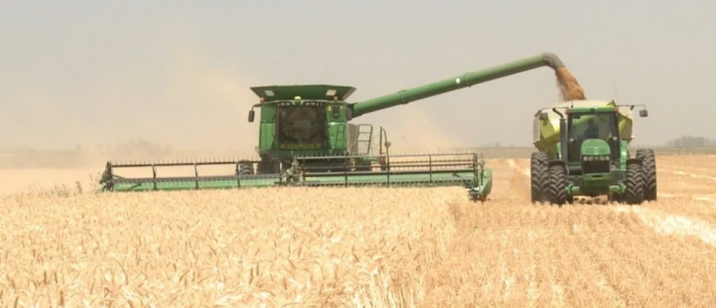 El gobierno fijó el cupo de exportación de trigo 