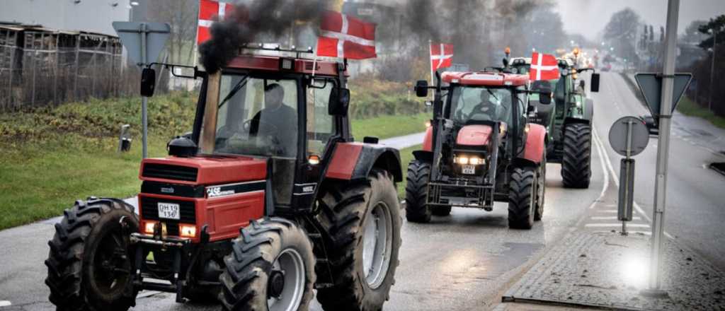 Marchan en Dinamarca contra el exterminio de visones 