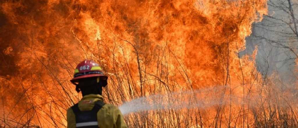 En 2020 se quem&oacute; una superficie equivalente a 57 veces la CABA