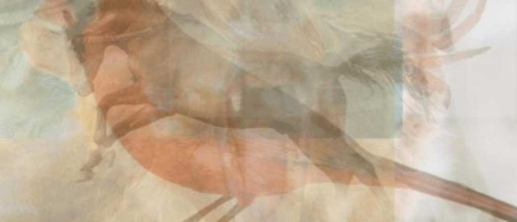 &iquest;Qu&eacute; animal ves en la imagen? Esto definir&aacute; tu personalidad oculta