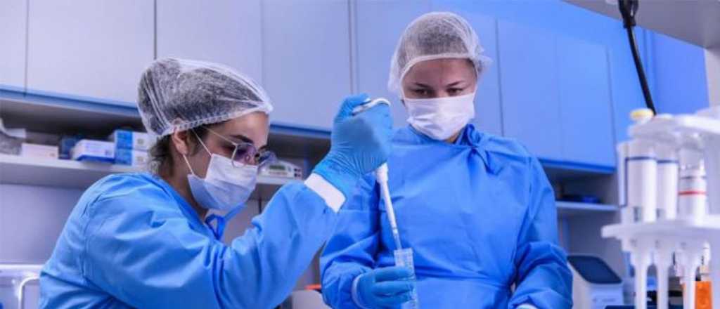 Vacuna rusa: cient&iacute;ficos niegan que no se pueda tomar alcohol