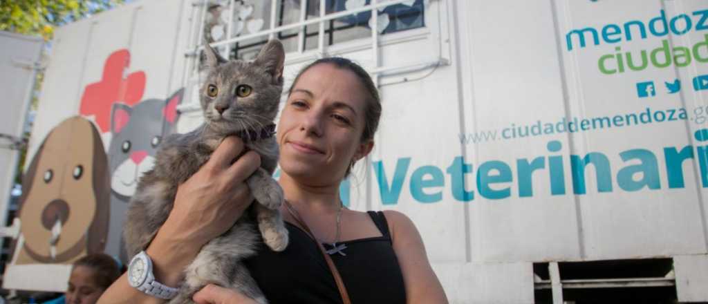 La Ciudad realizará una jornada de adopción y sensibilización animal