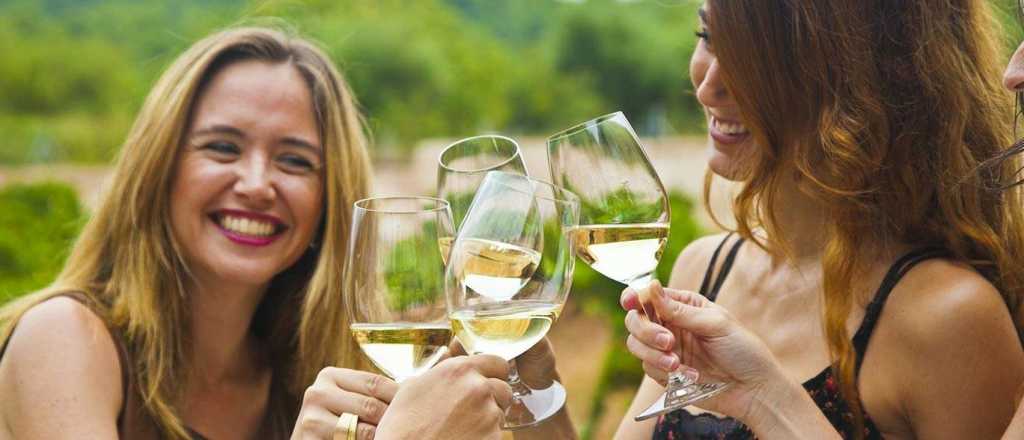 Cinco vinos blancos y frescos para combatir el verano 