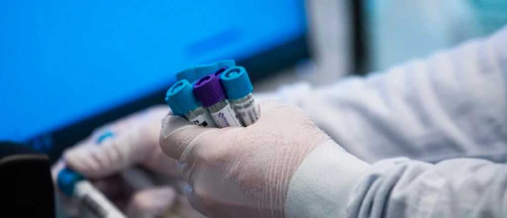 Brasil: c&oacute;mo es el microorganismo letal para los humanos