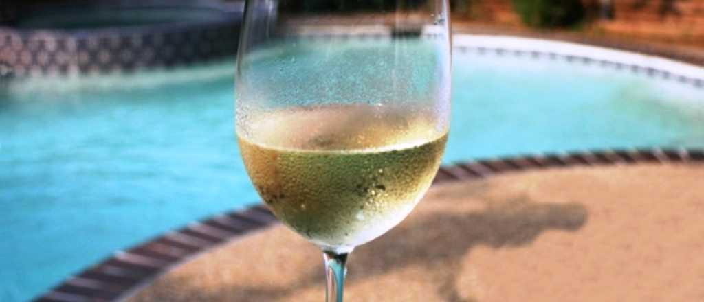 Los mejores vinos blancos para tomar en verano