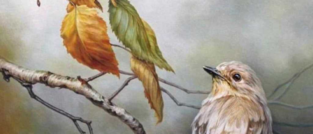 Mir&aacute; la imagen y descubr&iacute; cosas que no sab&iacute;as de tu personalidad