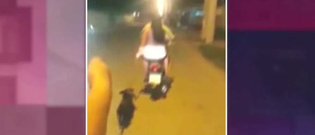 Video: arrastraron por el pavimento a un perro herido desde una moto