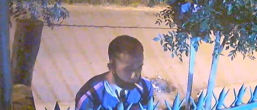 Videos: mataron a su perra y le robaron dos veces en su casa en Maip&uacute;