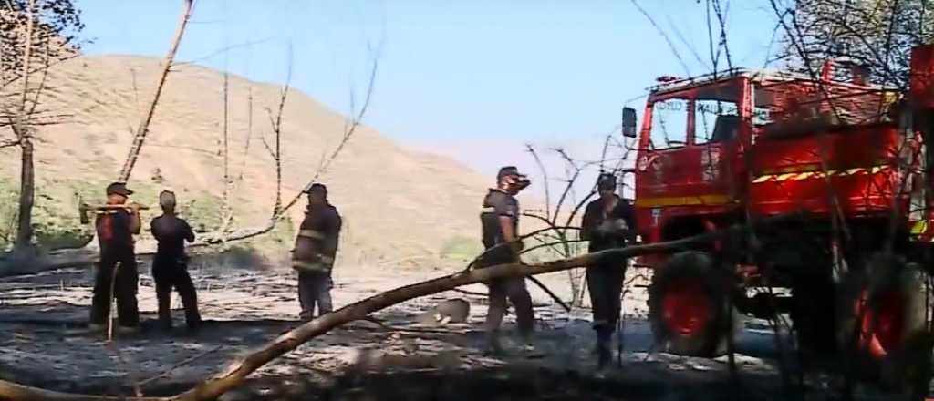 Video: hicieron un asado en Potrerillos e incendiaron 5 hectáreas