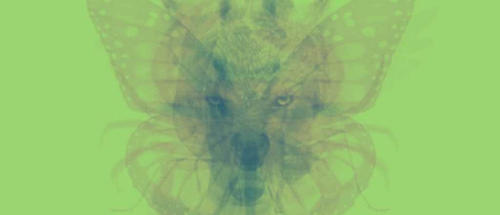 Test de personalidad: &iquest;qu&eacute; animal ves primero?