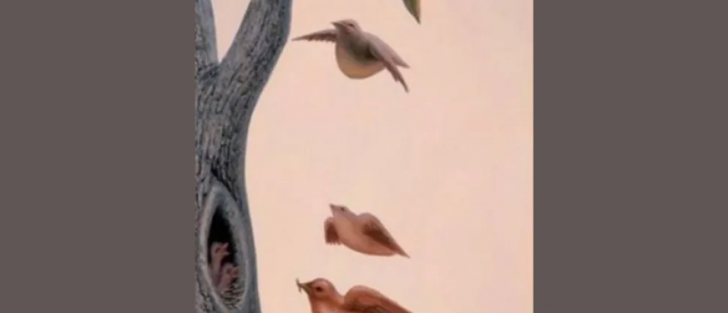 Con este test vas a descubrir cu&aacute;l es el deseo de tu inconsciente