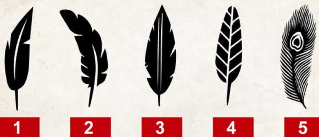 Eleg&iacute; una pluma y descubr&iacute; c&oacute;mo sos en tus relaciones sociales 