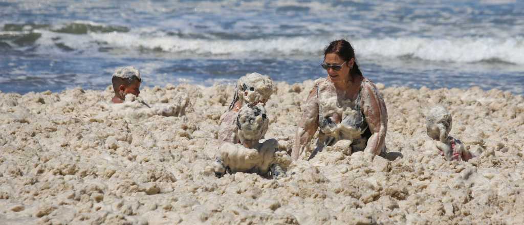 La espuma marina cubrió las playas de Mar del Plata