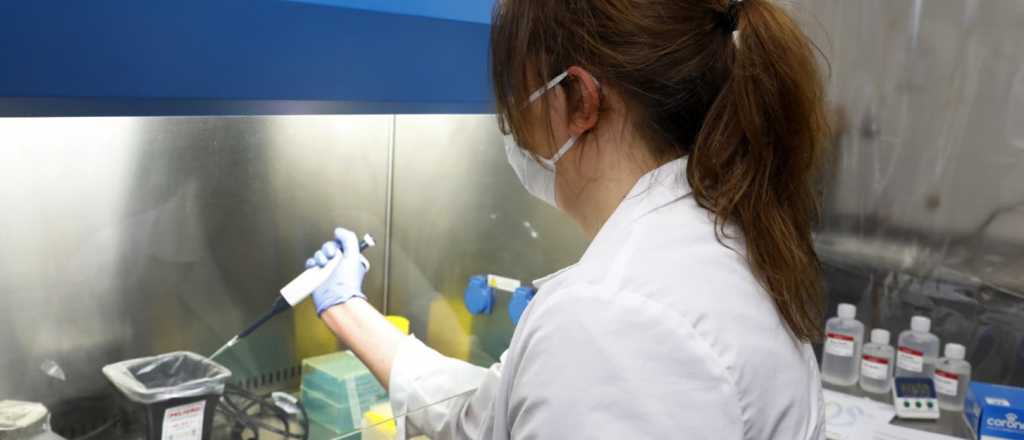 Coronavirus: el control cloacal en Las Heras dará los primeros datos a Salud 