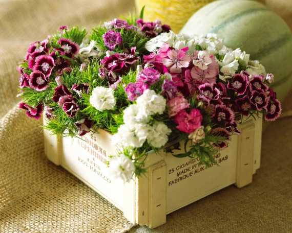 Cuatro arreglos florales para decorar tu casa en verano - Mendoza Post