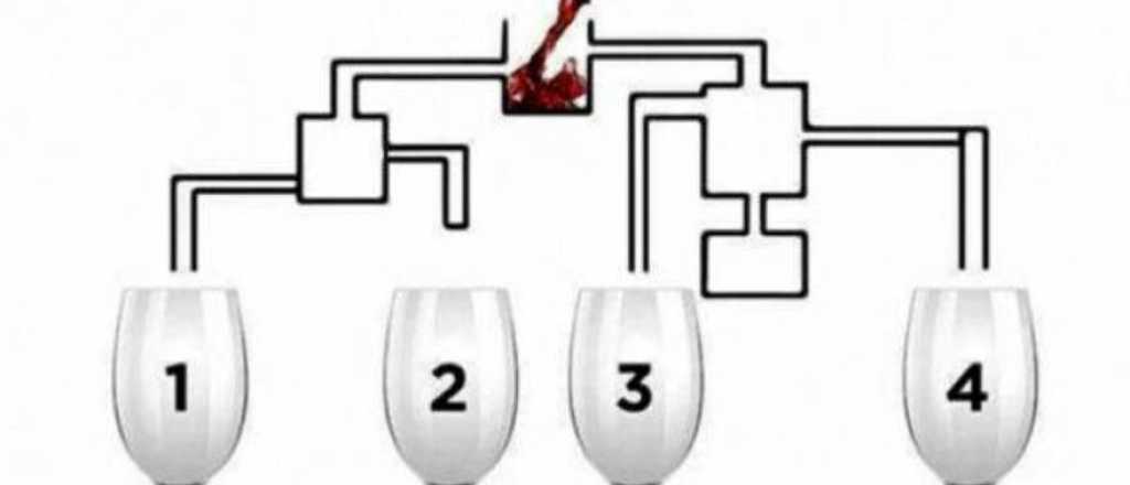 Test de inteligencia: ¿qué copa se llena primero?