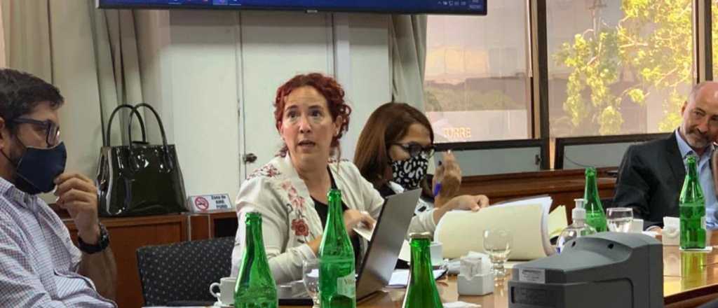 El EPRE y distribuidoras de Mendoza analizaron las tarifas con Cammesa