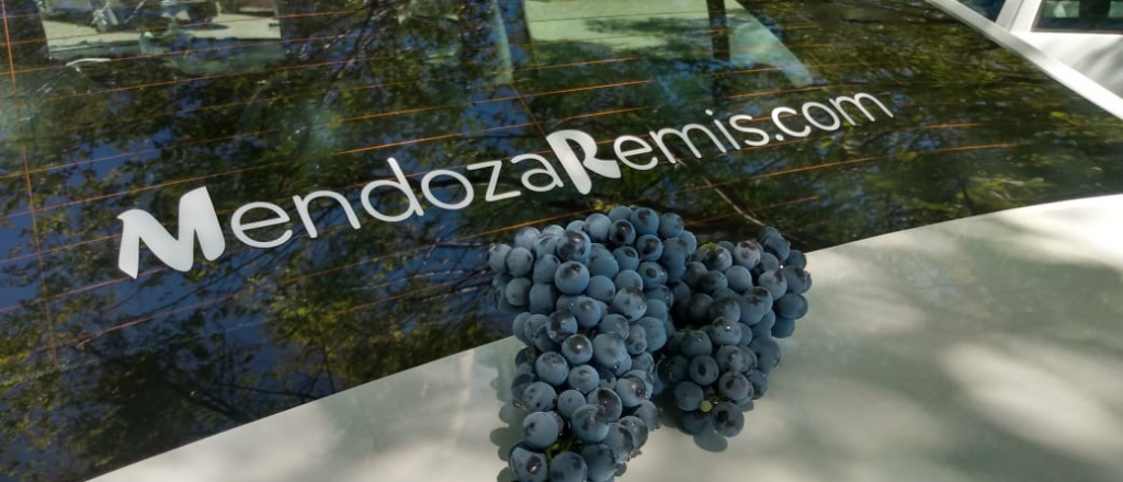 &iquest;Te casas?: Mendoza Rem&iacute;s ahora ofrece el traslado del juez de Paz