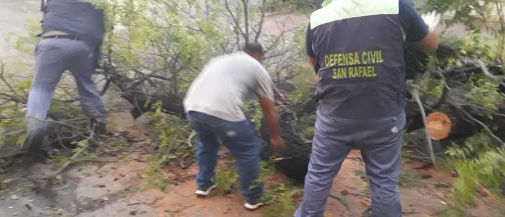 Los daños que dejó la tormenta en San Rafael