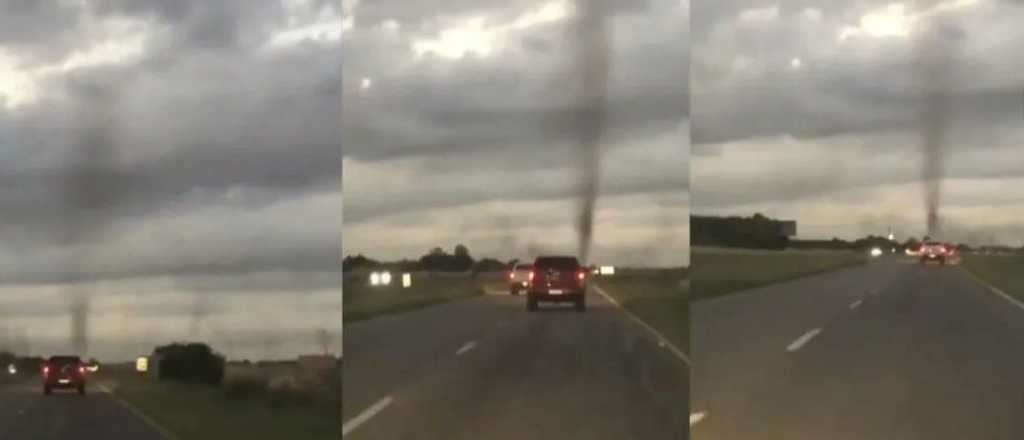 Video: un "tornado" de mosquitos sorprendi&oacute; a turistas en Pinamar