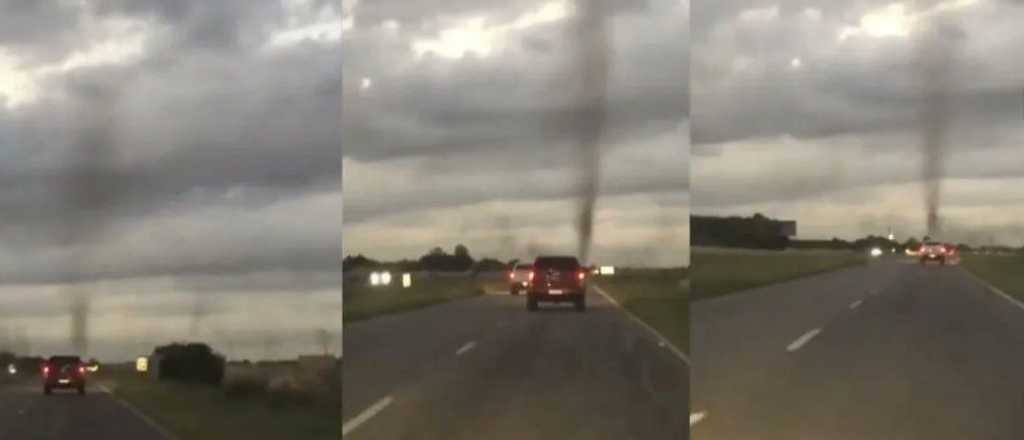 Video: un "tornado" de mosquitos sorprendió a turistas en Pinamar