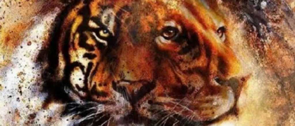 Lo que esconde tu interior: ¿león o tigre?