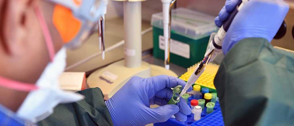 Nueva cepa podría impactar en la eficacia de las vacunas