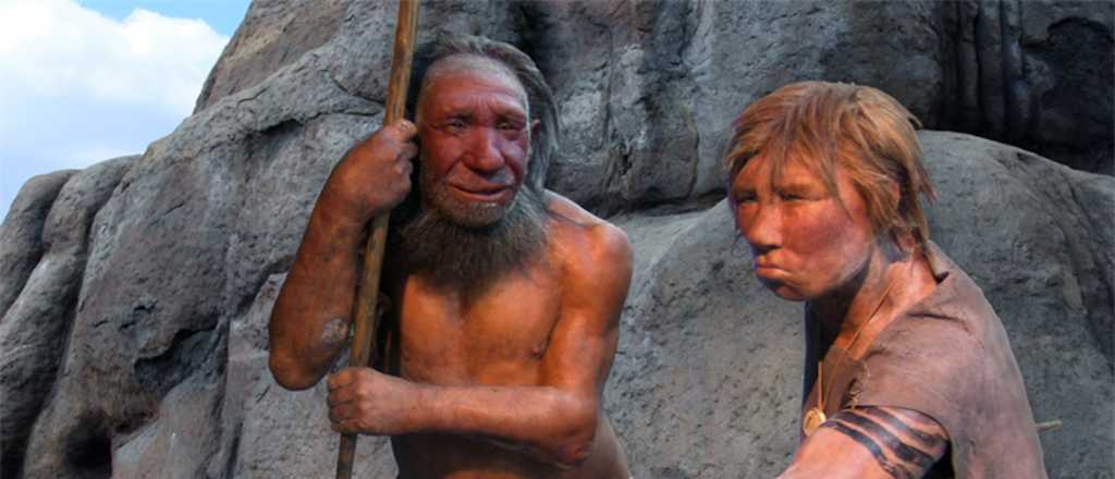 Neandertales: unos 20 mil a&ntilde;os antes de lo que se cre&iacute;a desaparecieron