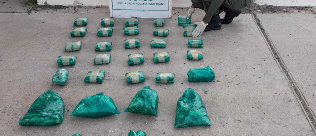 Secuestraron 17 kilos de hojas de coca que venían a Mendoza
