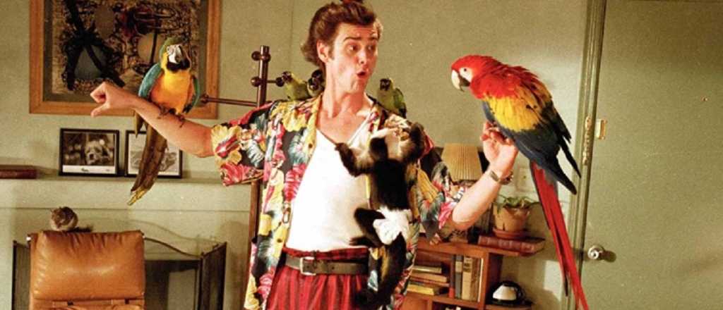 Ace Ventura tendrá su tercera película en Amazon
