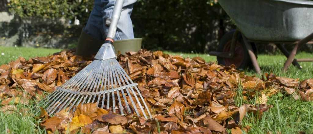 Las 10 tareas para que tu jardín luzca impecable en otoño