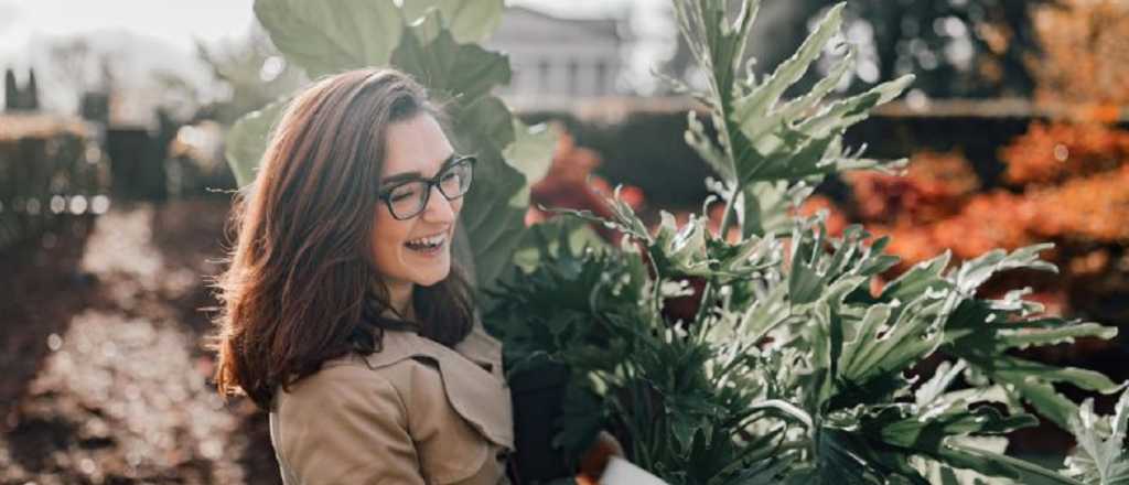 Cinco accesorios y herramientas de jardinería que no te pueden faltar