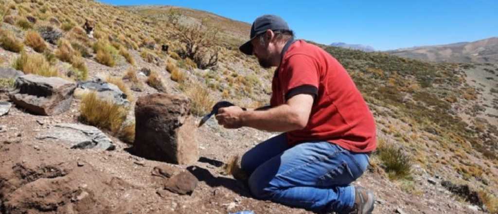 Un criancero halló restos paleontológicos en Malargüe