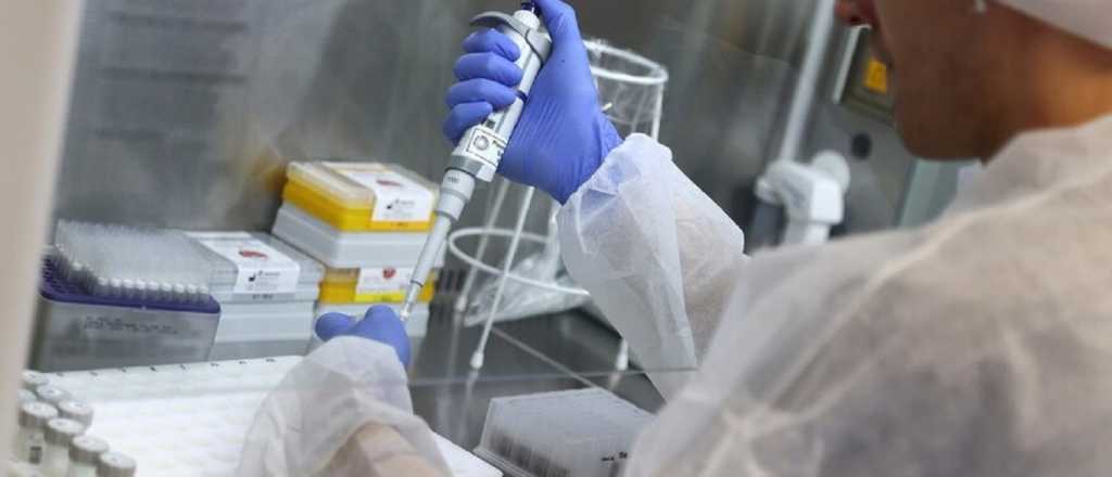 ¿El coronavirus mostró su versión más peligrosa con las nuevas cepas?