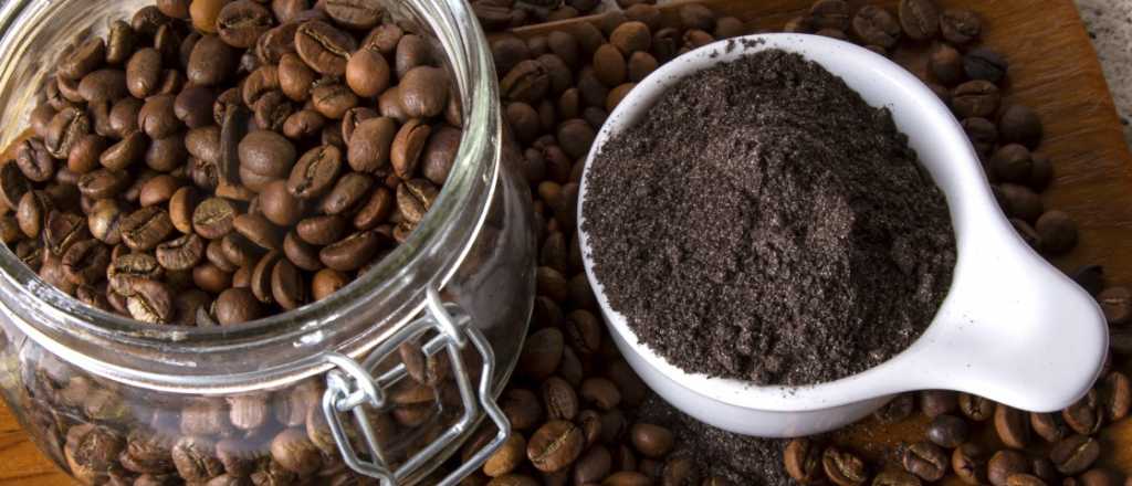 El mejor consejo sobre c&oacute;mo y d&oacute;nde conviene guardar el caf&eacute;