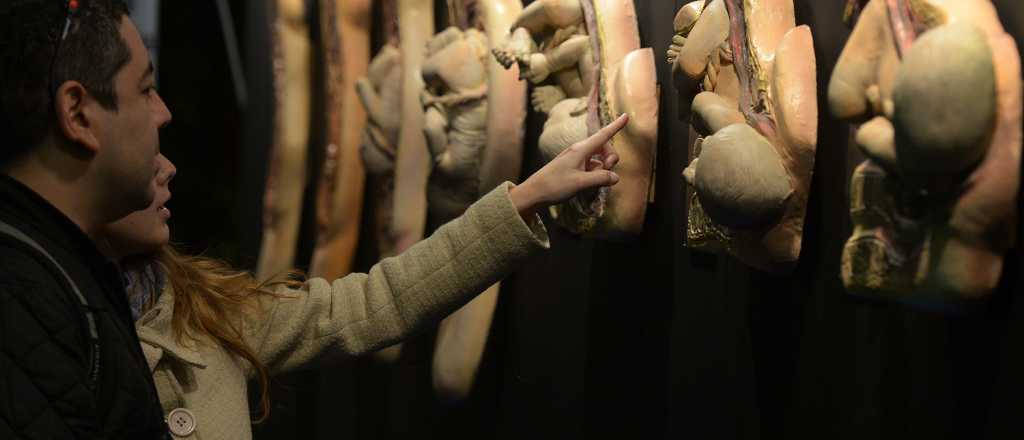 Así fue el mayor evento del año para futuras mamás y bebés