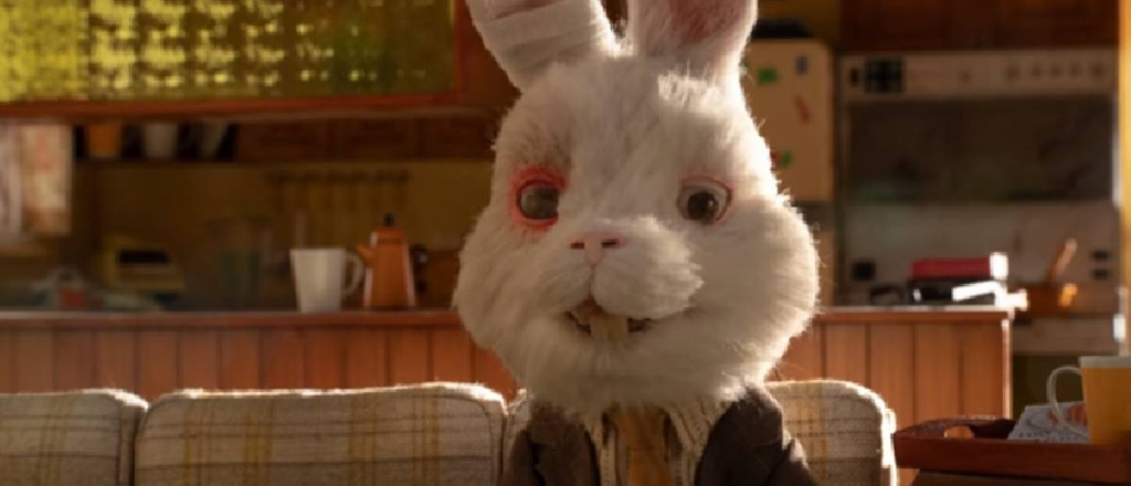 Ralph, el conejo que muestra el maltrato animal en la industria cosmética