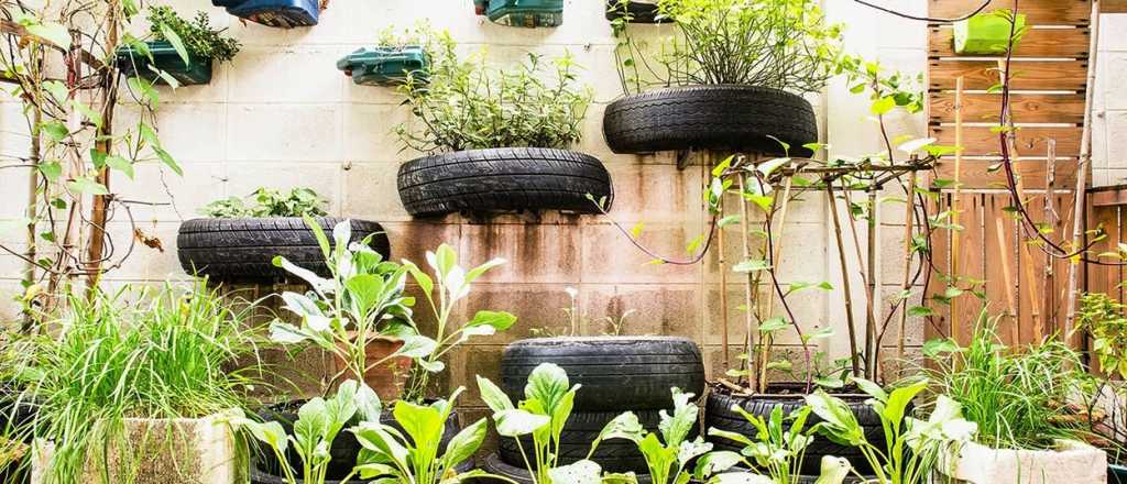 Huerta casera en oto&ntilde;o: qu&eacute; sembrar y c&oacute;mo