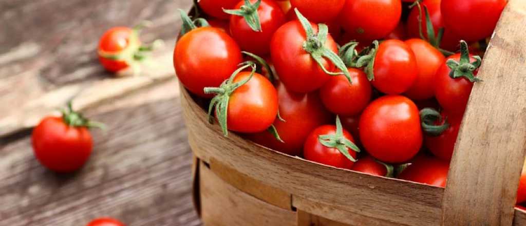 Sopa económica de tomates asados a la albahaca