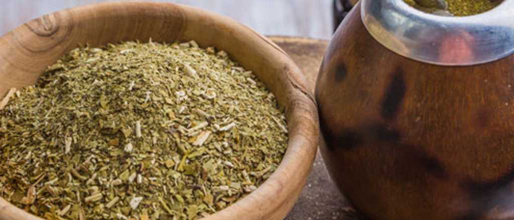 Por la ca&iacute;da en la producci&oacute;n, Argentina trae yerba de Brasil