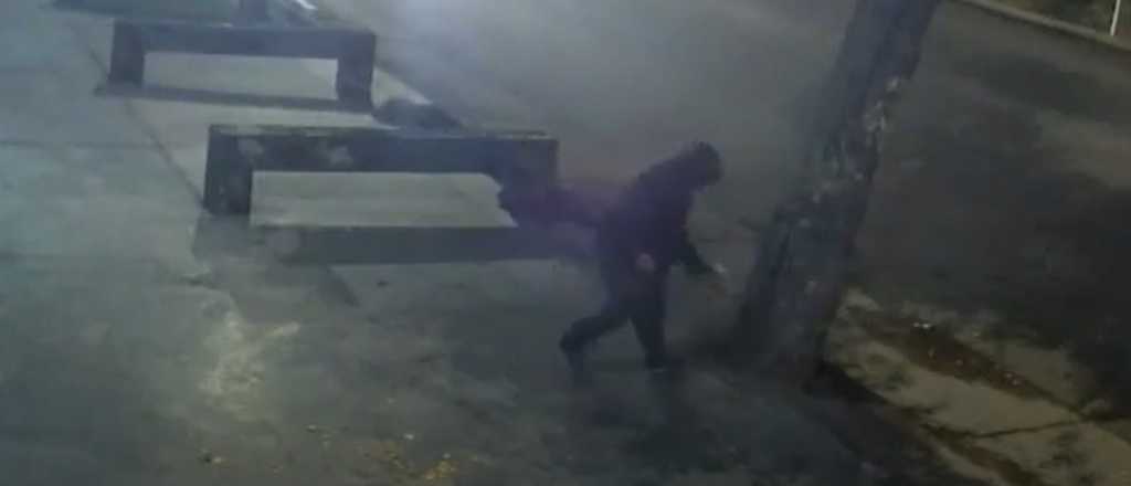 Video: acusan a un vecino de Tupungato de envenenar &aacute;rboles