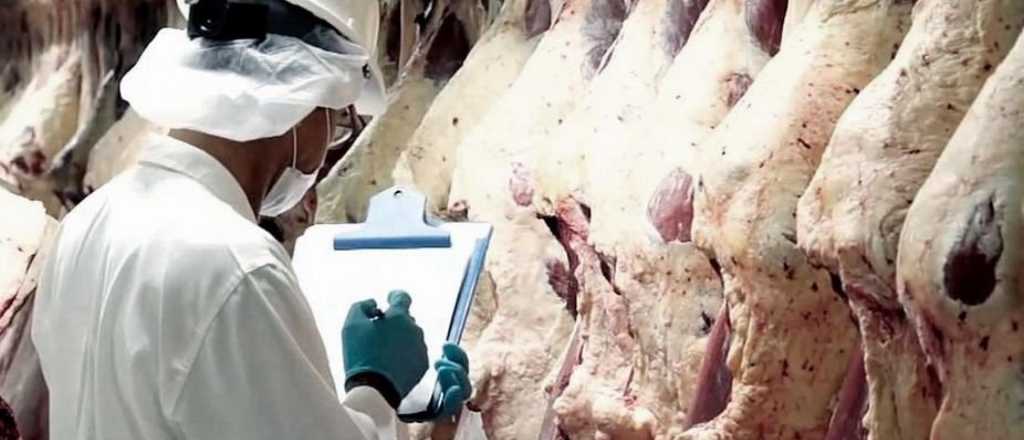 Los cortes de carne para el mercado interno tras reabrir la exportación