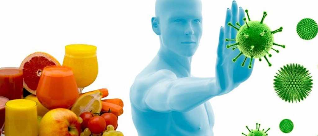 Nutrición para fortalecer el sistema inmunológico