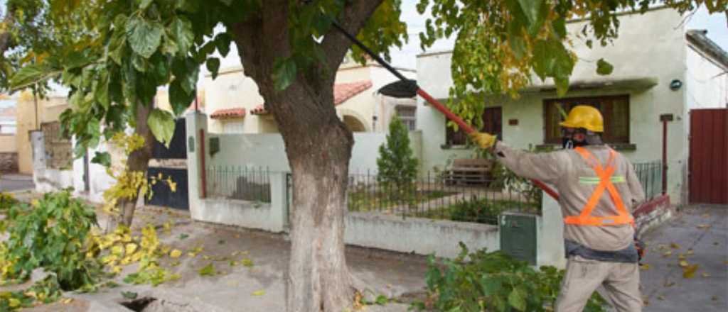 Avanza el plan de poda y separaci&oacute;n de residuos en General Alvear