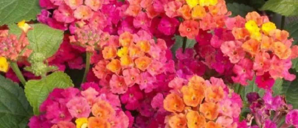 Consejos para encontrar la felicidad en tu casa seg&uacute;n la ciencia